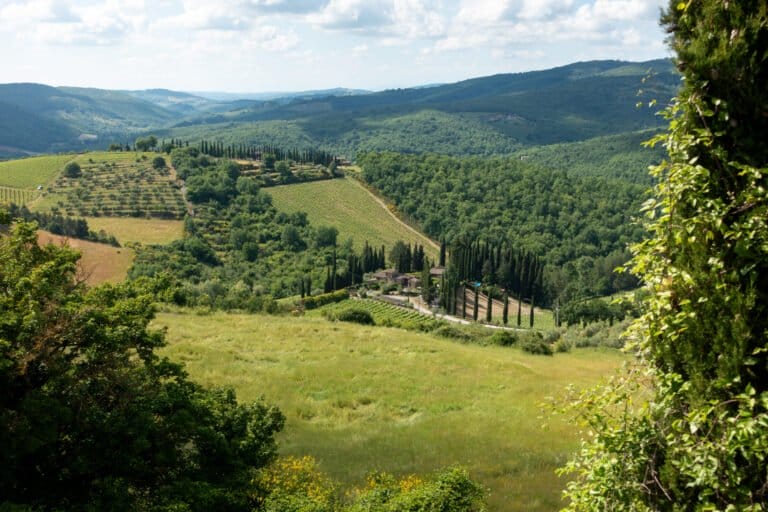 Brunello - Toscana Bike Blues - 29 DSC03910 - Chianti Brunello