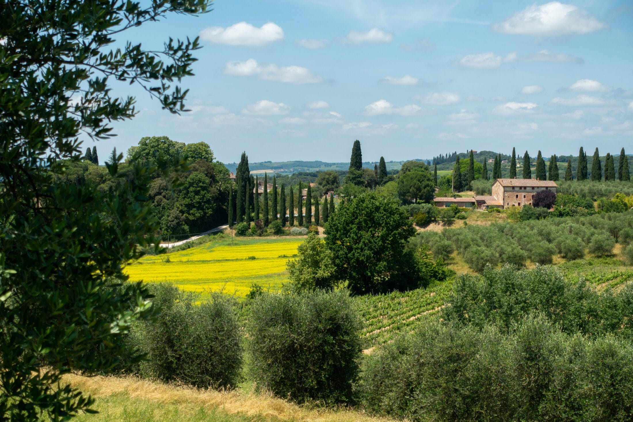 Cykelrejser i Toscana - Toscana Bike Blues - Cykelrejsen Castellina til Brunello - Cykelrejser i Toscana